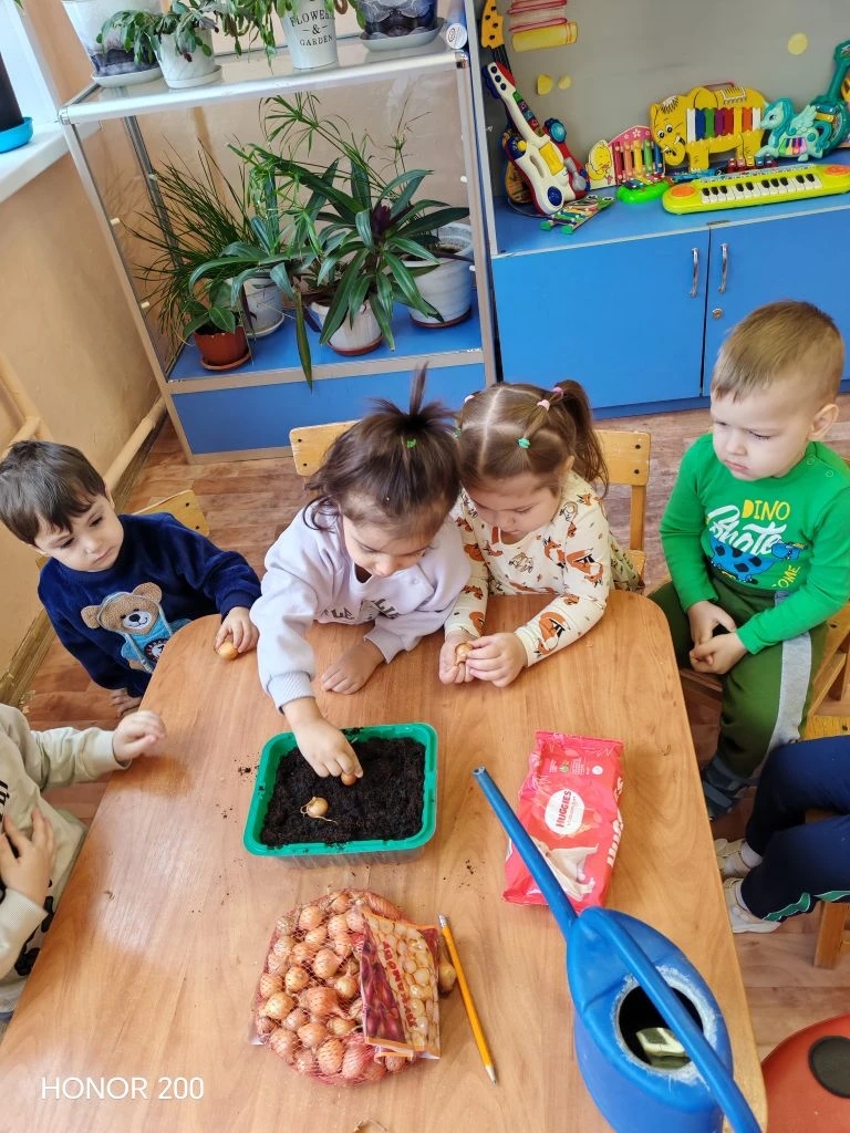 Выставка «Все начинается с семечка».